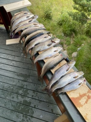 20 0731 oterfiske