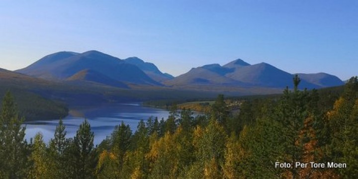 20 0920 Rondane høst