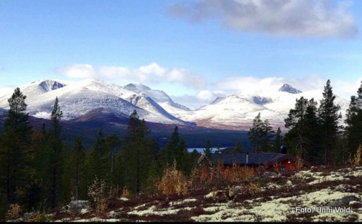 20 1003 vinter