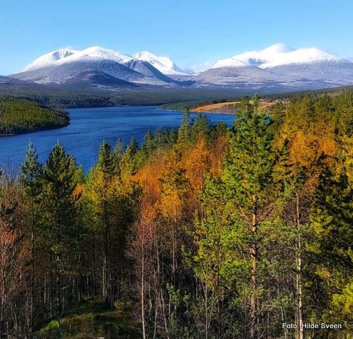 20 1001 Rondane