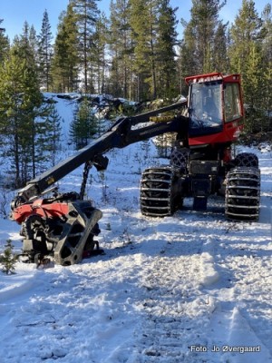 20 1023 skogsdrift Elgvadet 2