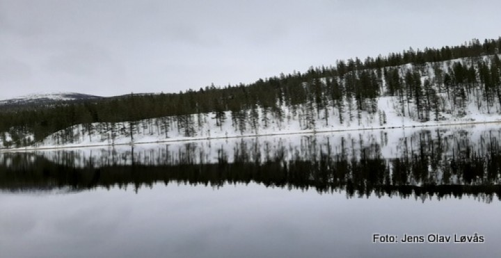 20 1025 Hamntjønnet