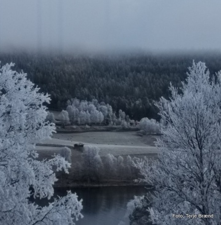 20 1115 hæst 4