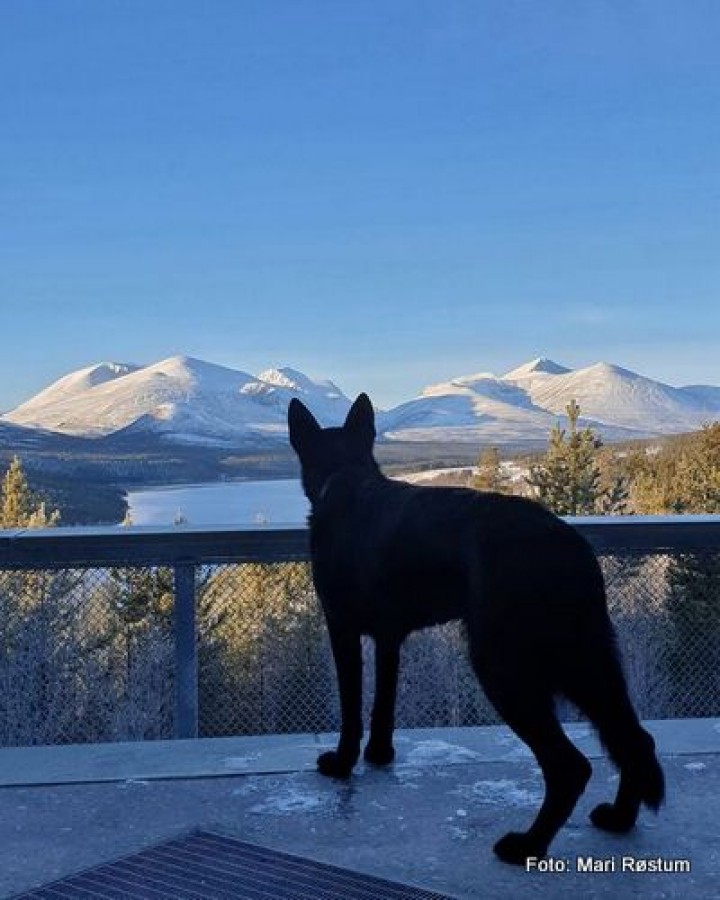 20 1127 skuer ut over Atnasjøen