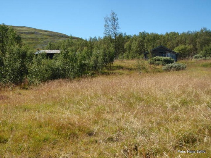 P8170040