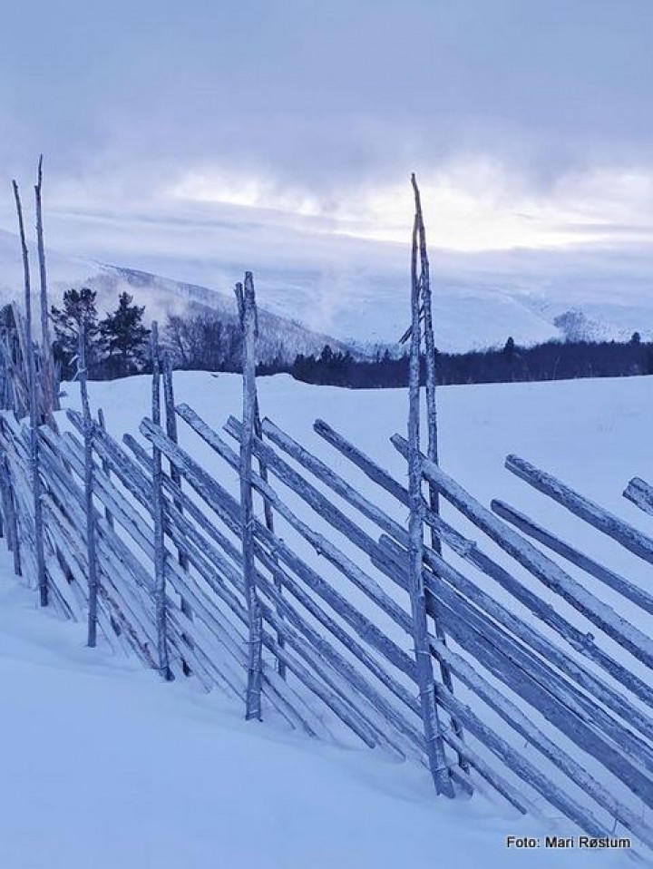 20 1226 fra Øverdalssetra