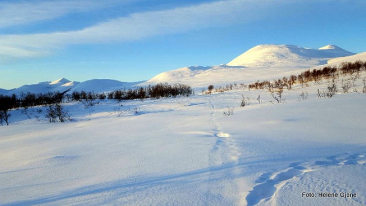 21 0105 vinter 3