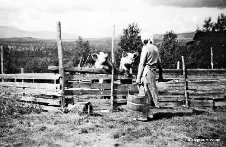 1-Veslgrytdalen.6jpg