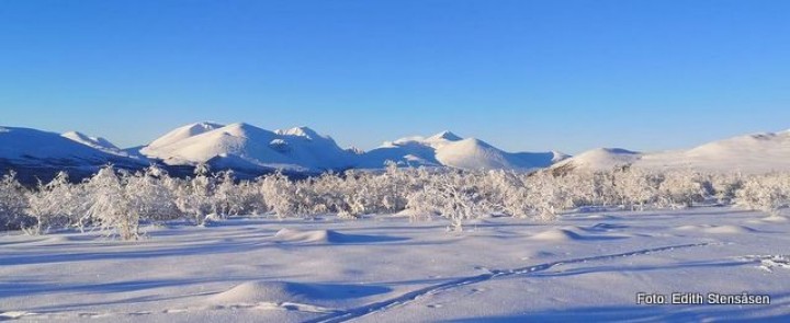 21 0103 Rondane-001