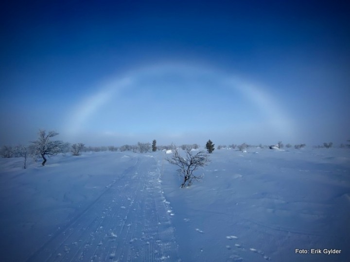 21 0117 Vinter 1