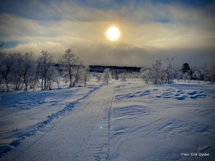 21 0117 Vinter 3