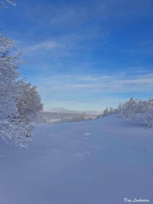 21 0113 Vinter