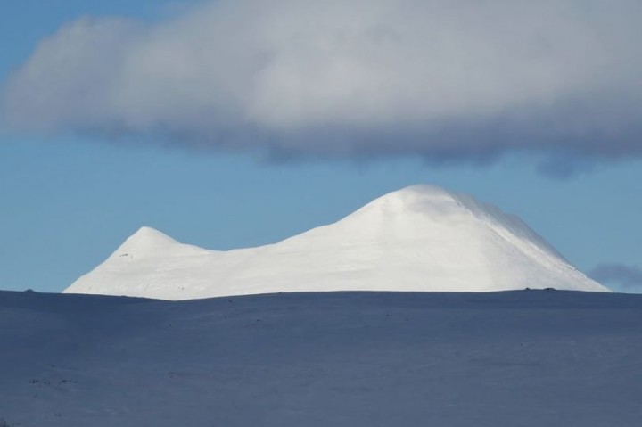 21 030 Sølnkletten