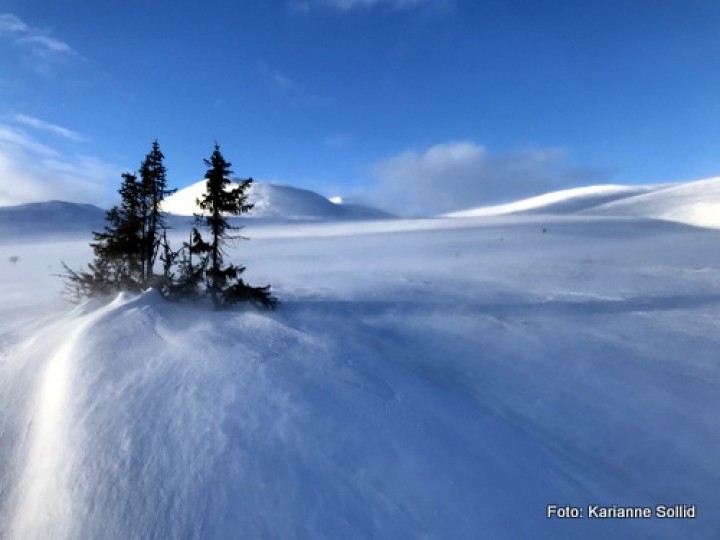21 0308 vind i fjellet