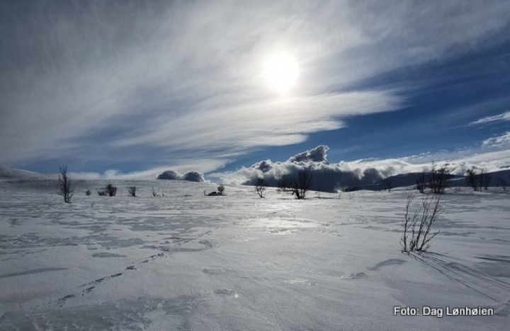 21 0327 fra fjellet
