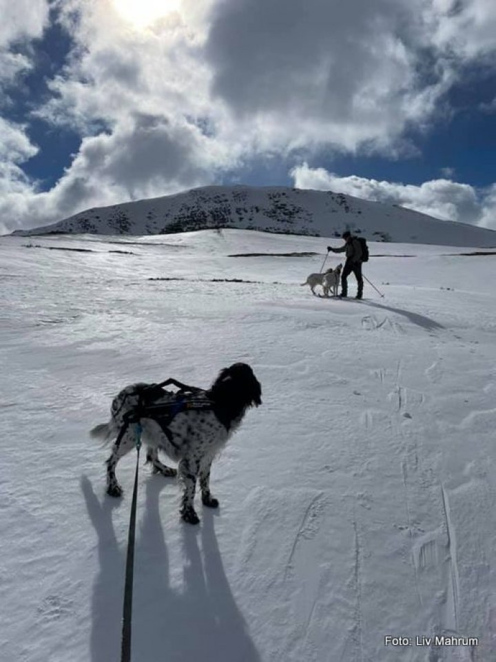 21 0422 fra Svabudalen