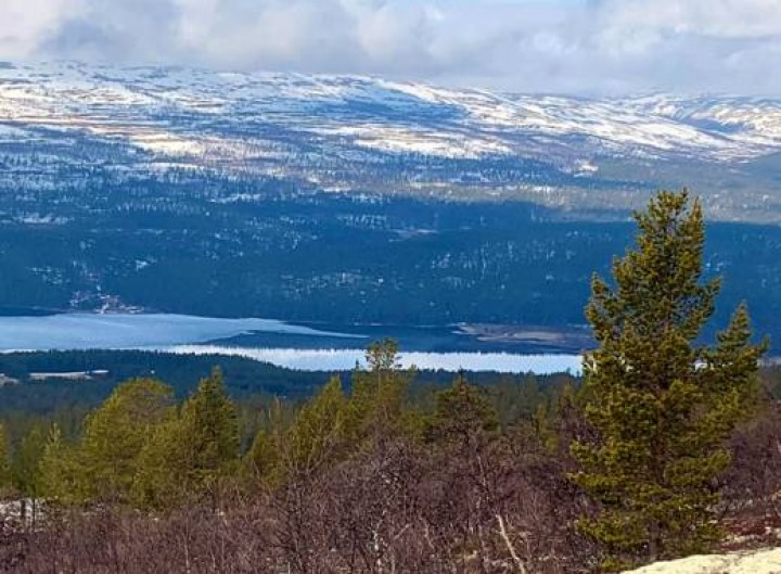 21 0515 det våres-001