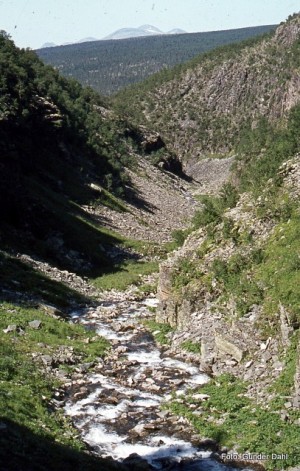 21 0401 Bretningsdalen