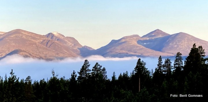 21 0821 haustmorgon