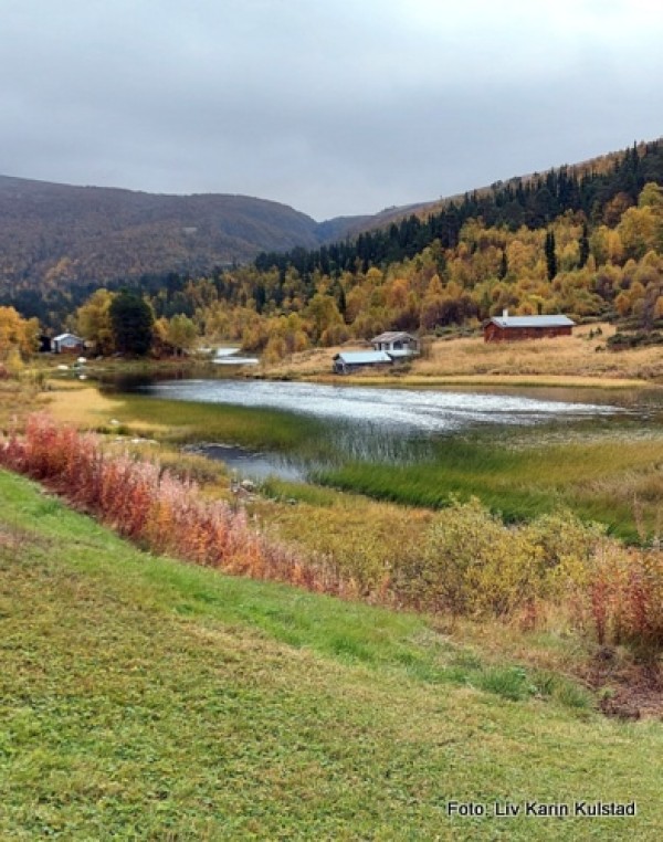 21 0919 Sjøli