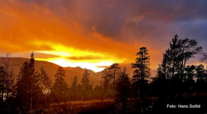 21 1010 ild i Ildmanndalen