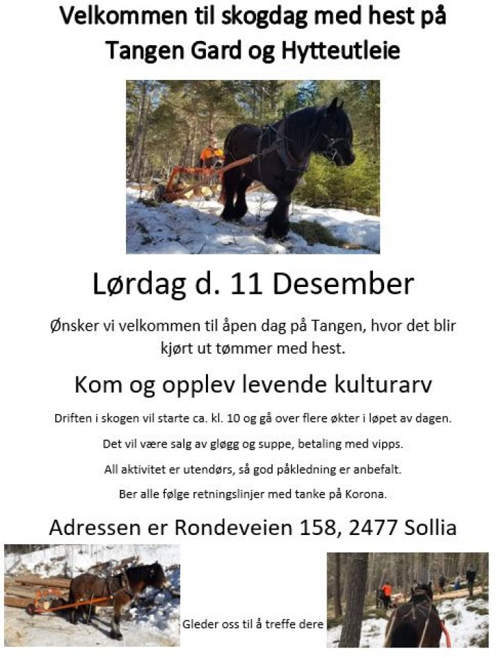 21 1204 plakat førjulsmoro