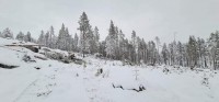 21 1212 vindfallsdrift Lonfossen