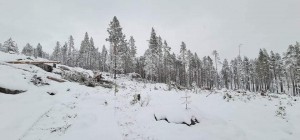 21 1212 vindfallsdrift Lonfossen