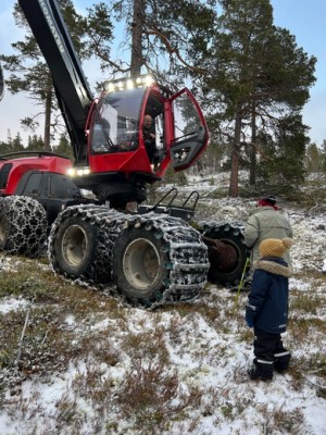 21 1211 høgging 1