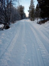 Bilde av Gamleveien som nå skal hete Megrunnslia på denne strekningen foto JØ