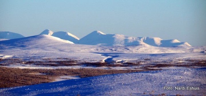 21 1213 Rendalssølen