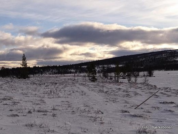 22 0122 Finnsjøen