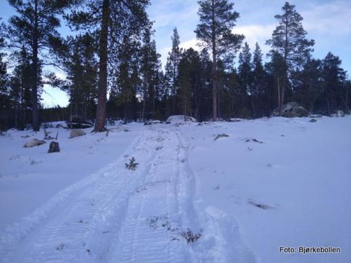 22 0209 Løyper 1