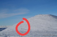 22 0220 rensdyr på Gravskarhøgda 2
