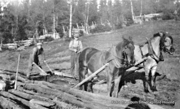 Einar og Ivar pløyer i Kl.stua-001