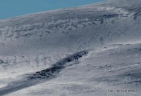 15 0226 Hans de Waard rensdyr i Grøtarhøgda