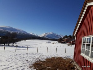 22 0314 Sør-Nesset
