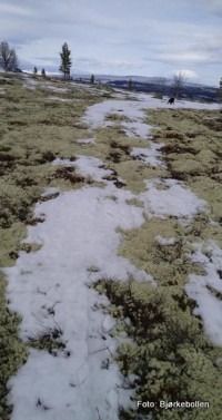 22 0325 løyper snøfritt