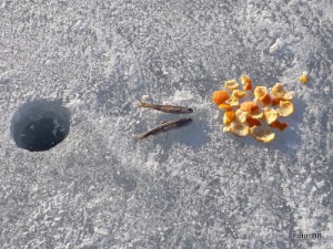 22 0419 rapport fra isen BB