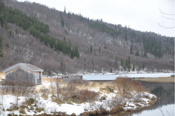 Buvollen i sørenden av Setningssjøen. Foto Jo Øvergaard 
