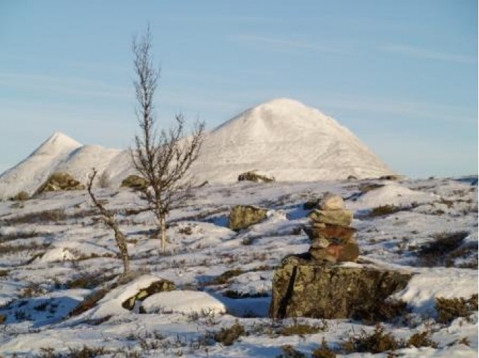 Tmerking i Grytvola. Foto Knut Gomnæs