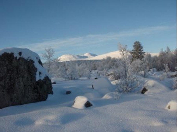 Bilde av steinete i Næroa. Foto Hans Sollid