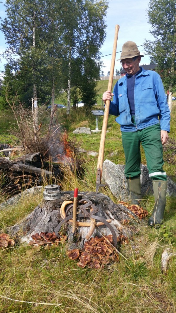 Bilde Helge Fossedagene