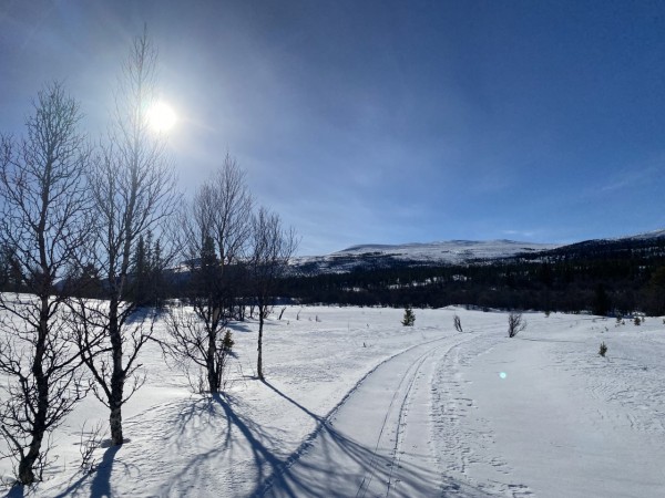 Ski Midtbekklia