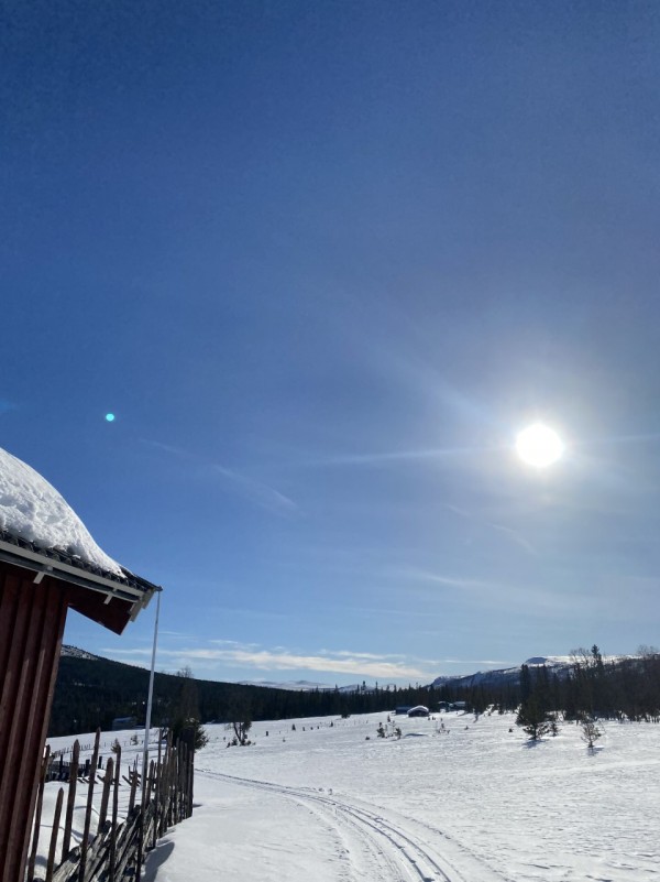 Ski Mokjølen