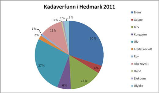 Kadaverfunn i Hedmark 2011